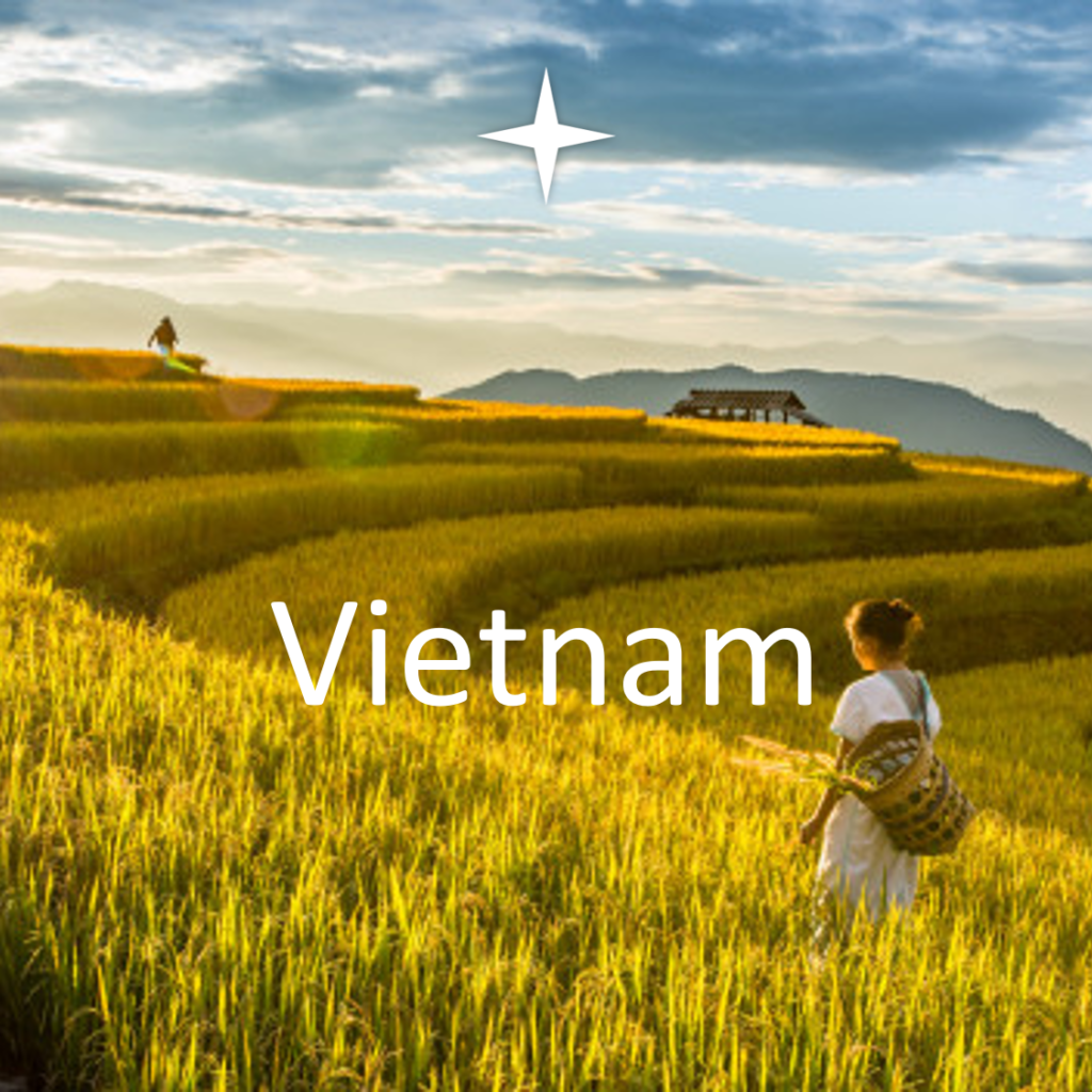 Vietnam Tour
