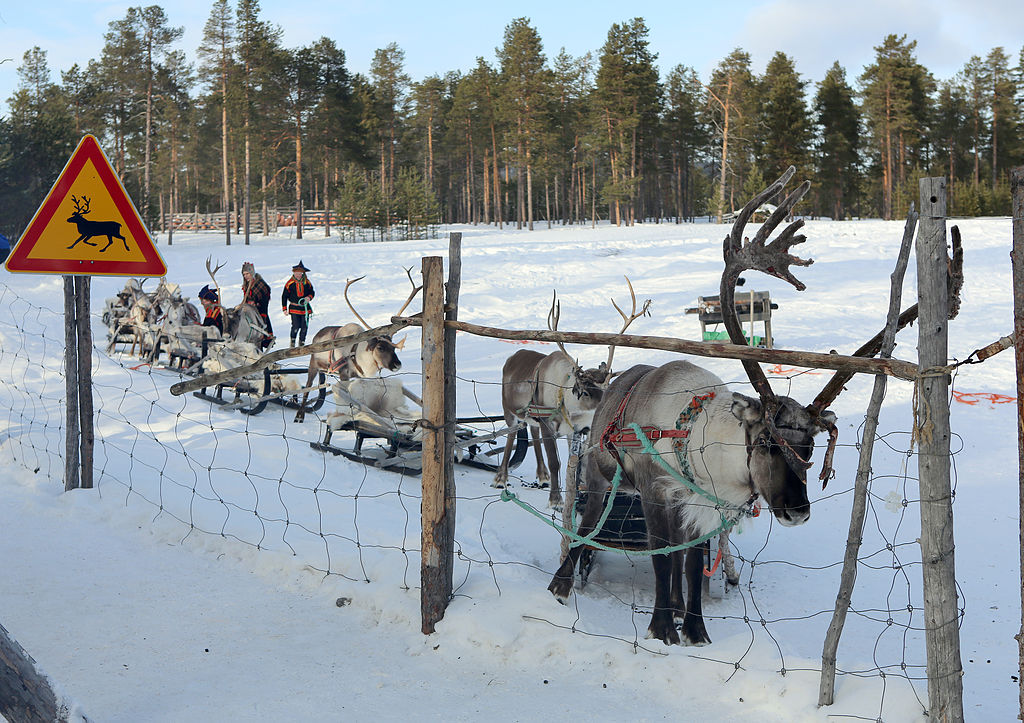 Reindeer farm Lapland Finland Europe