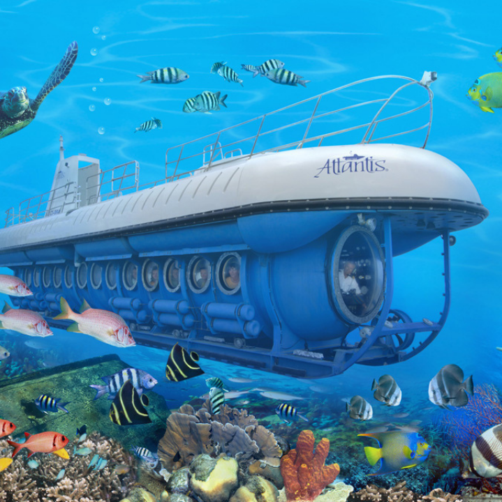 Underwater Whale Submarine in Maldives