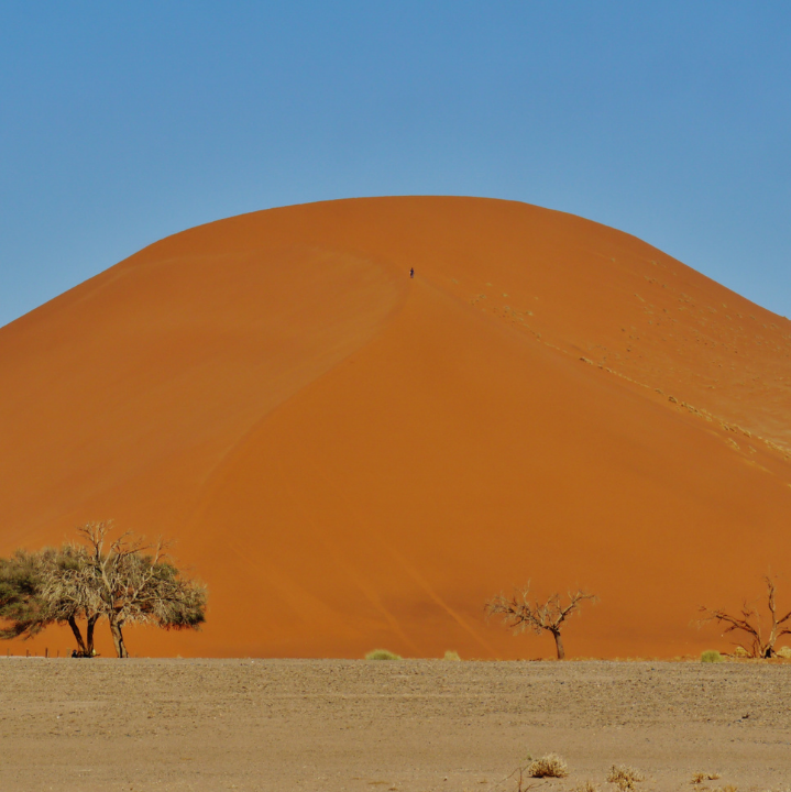 Orange Sand Dunes Namibia Africa