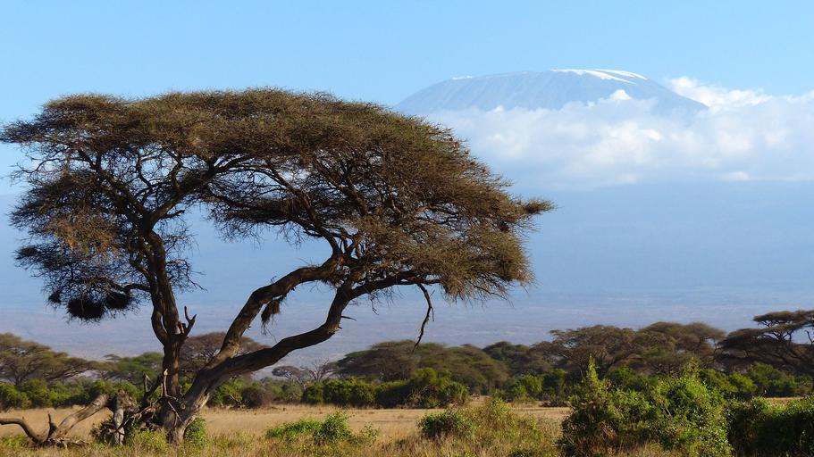 View of Mount Kilimanjaro from the plains in Tanzania Africa