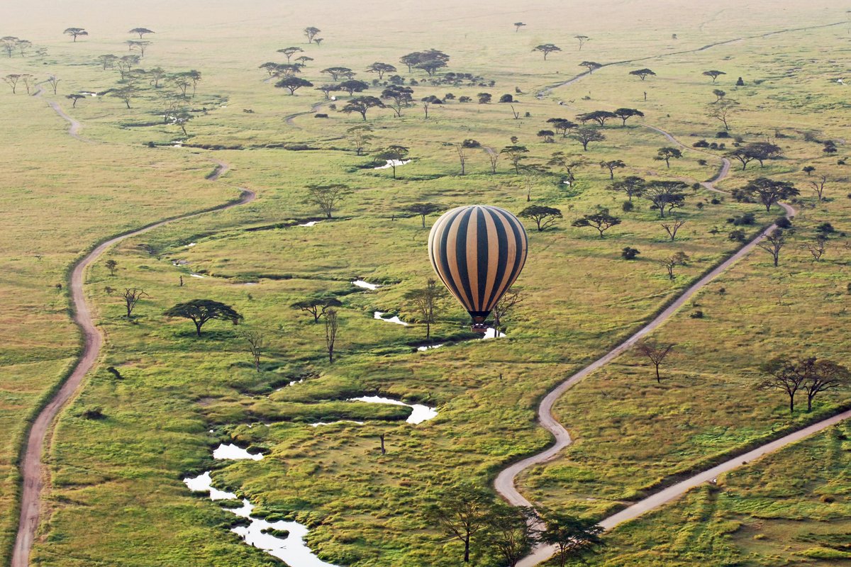 Read more about the article Best Experiences of Africa