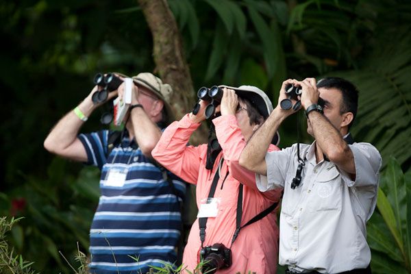 Tourists birdwatching in Corcovado National Park Costa Rica
