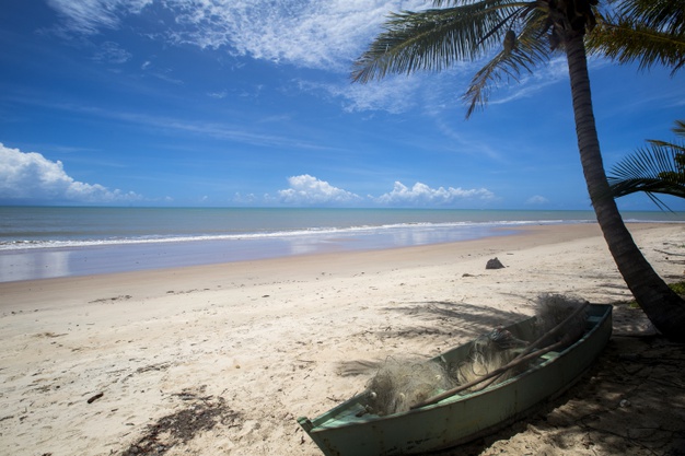 Beach in Brazil