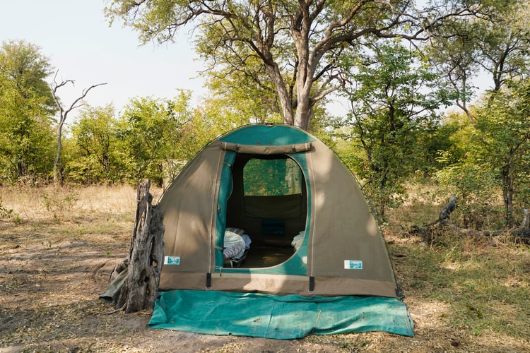 Tent, camp on Chiefs Island Walking Safari in Botswana Africa