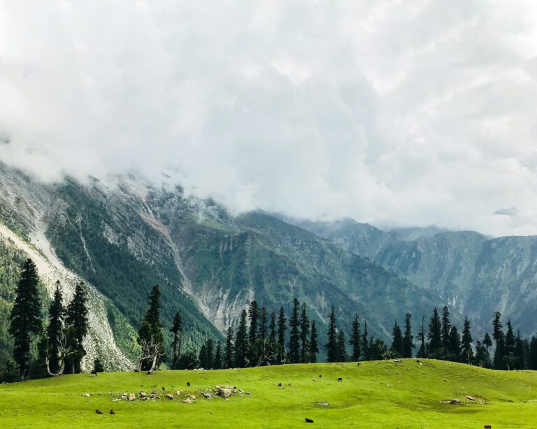 Read more about the article A Guide to Kashmir Holidays 2021