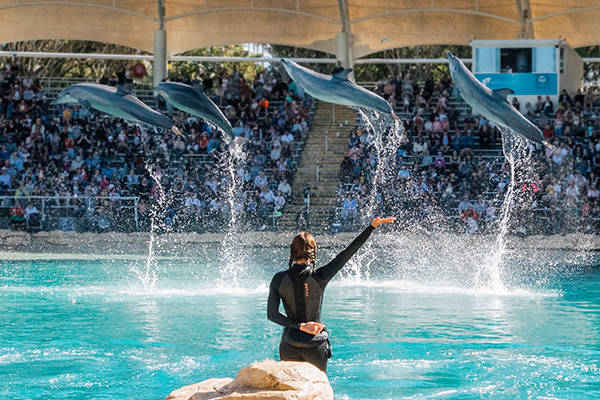 Sea World Marine Park