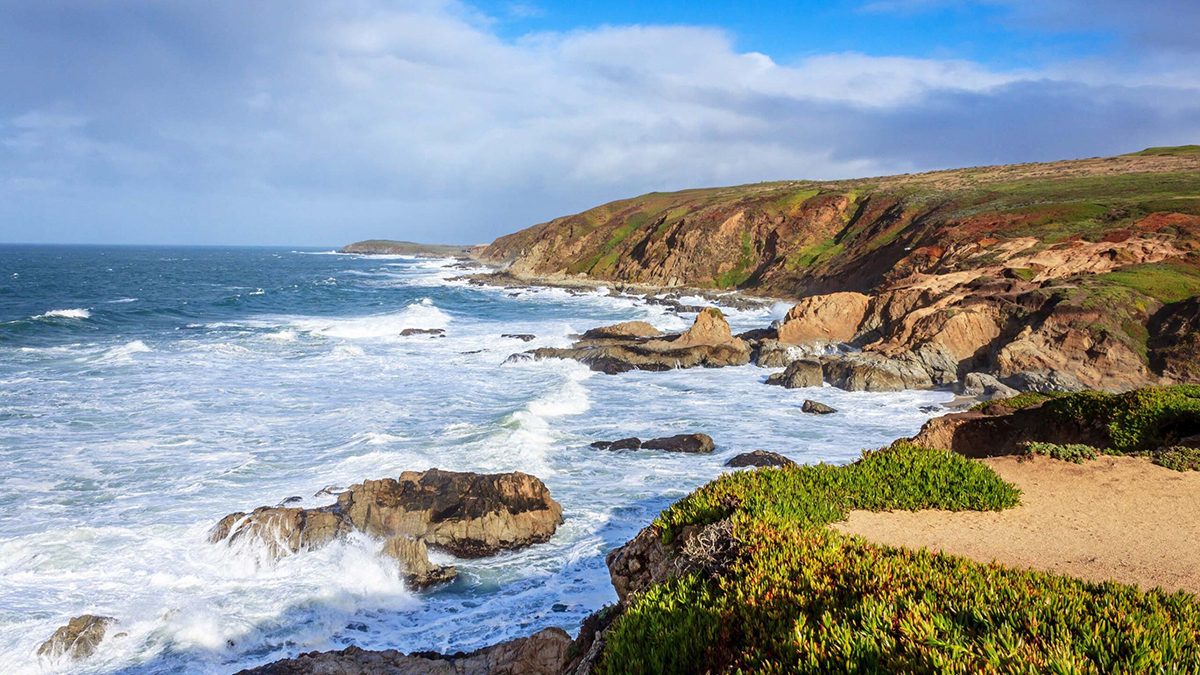 Bodega Bay