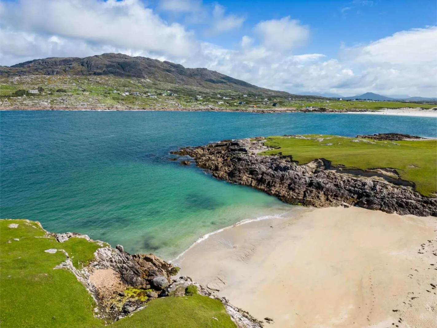 Swim At Dog’s Bay