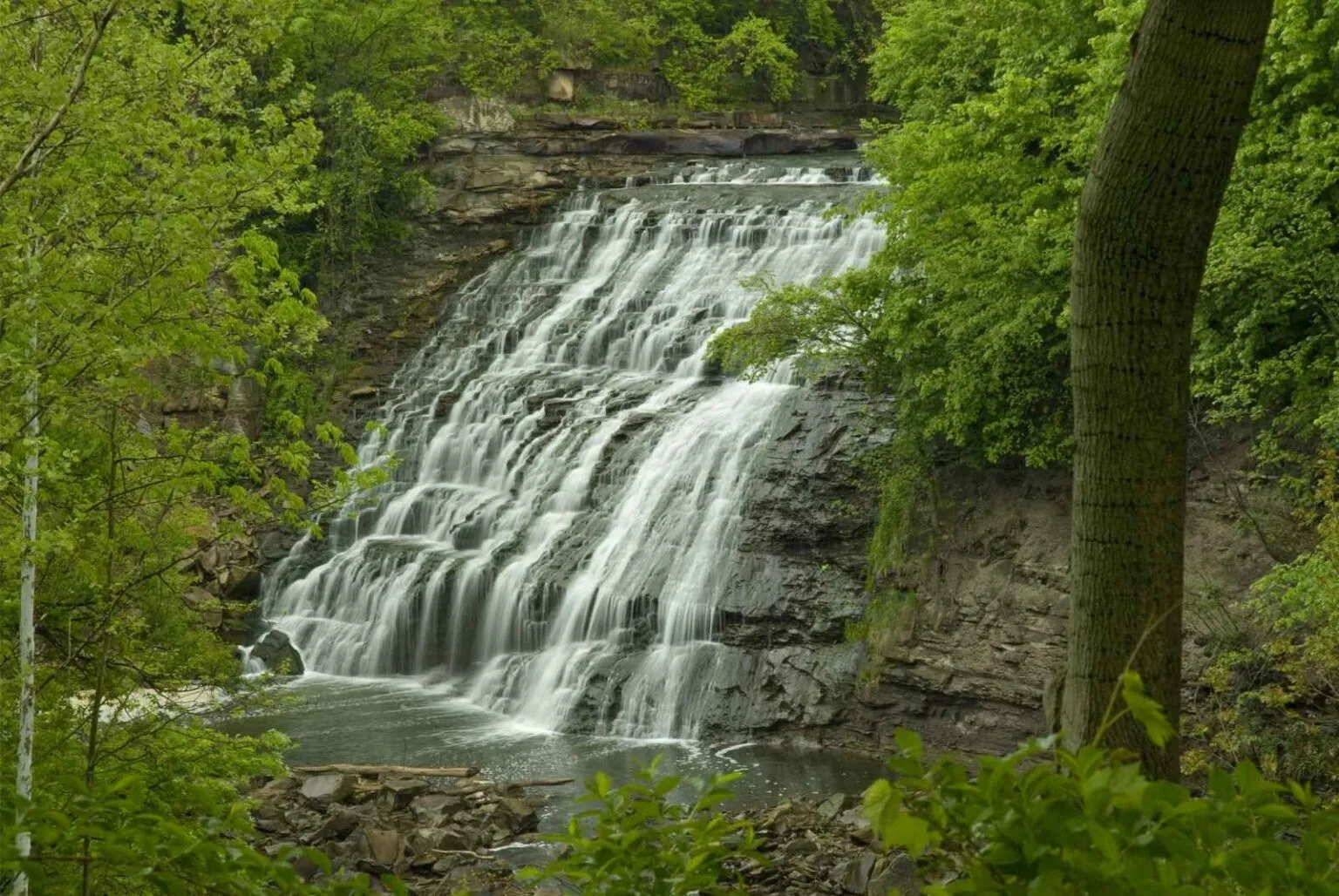 Admire The Views At Mill Creek Falls 