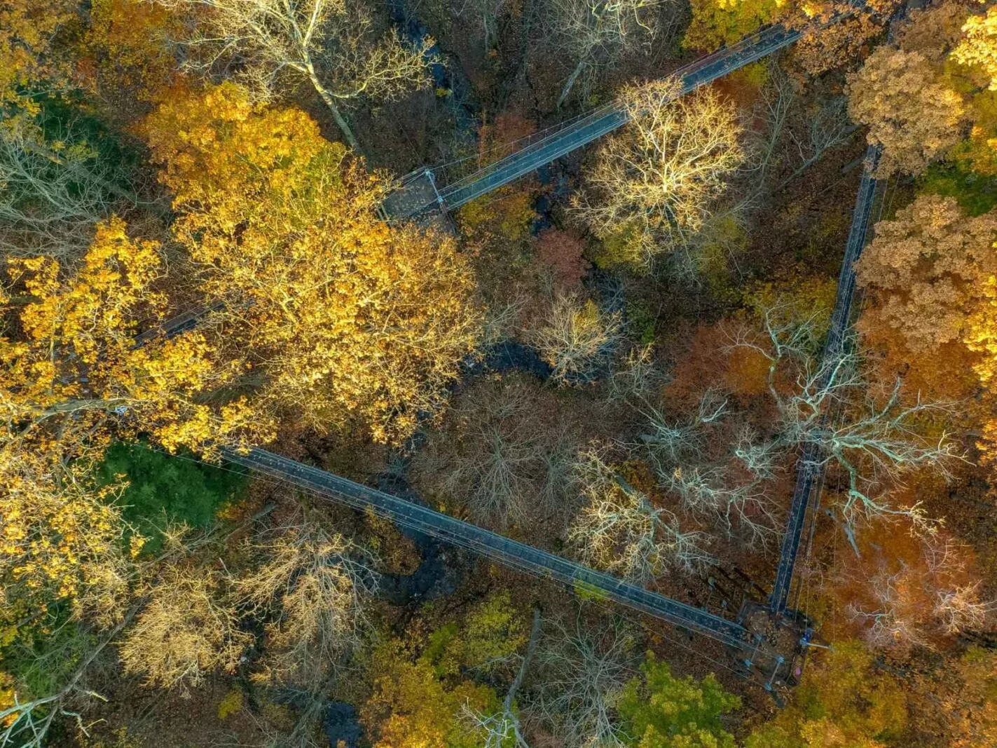 Scenic Views At The Holden Arboretum