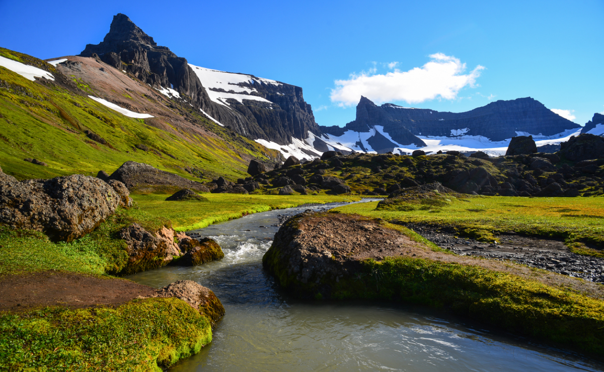 Discover the East Fjords