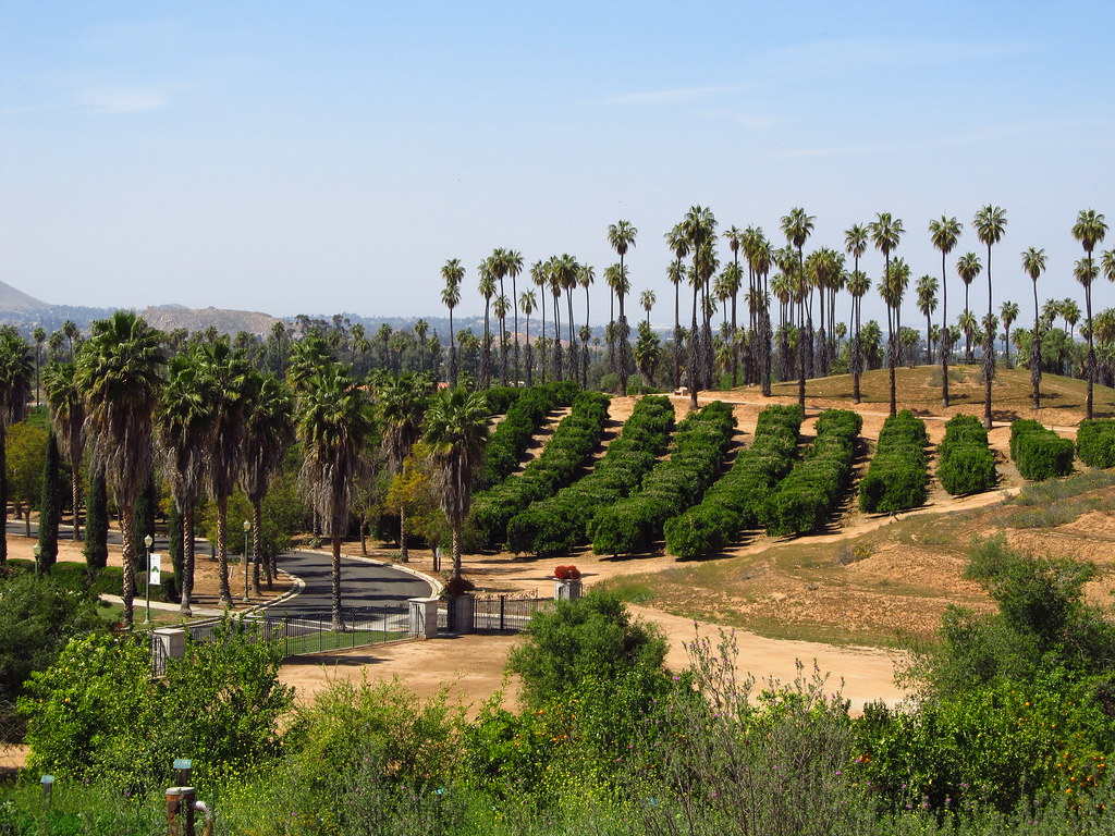 Visit the California Citrus State Historic Park