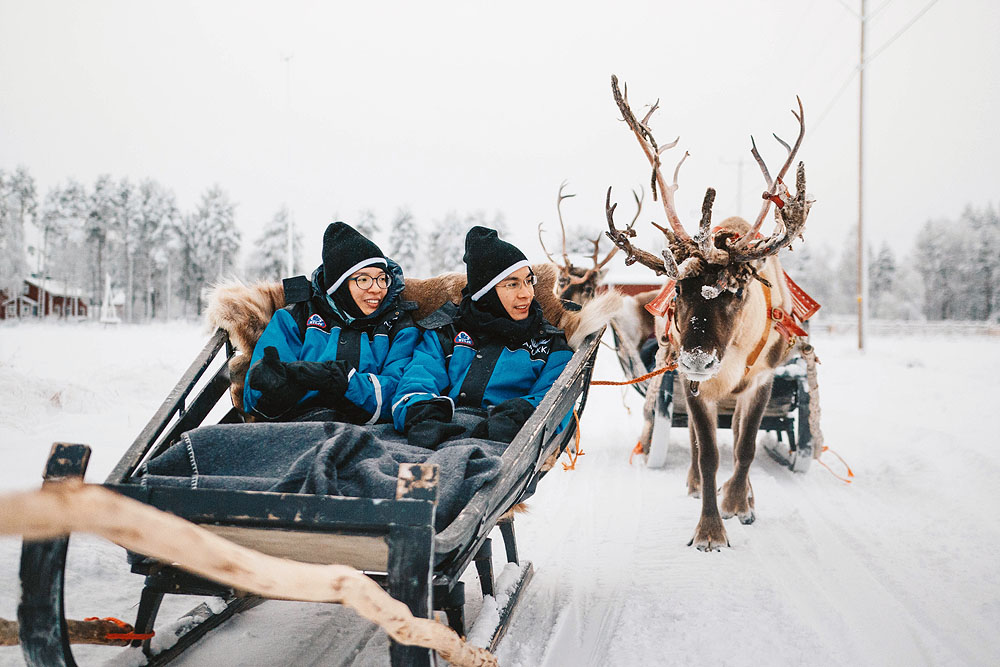 Go on a Reindeer and Husky Safari