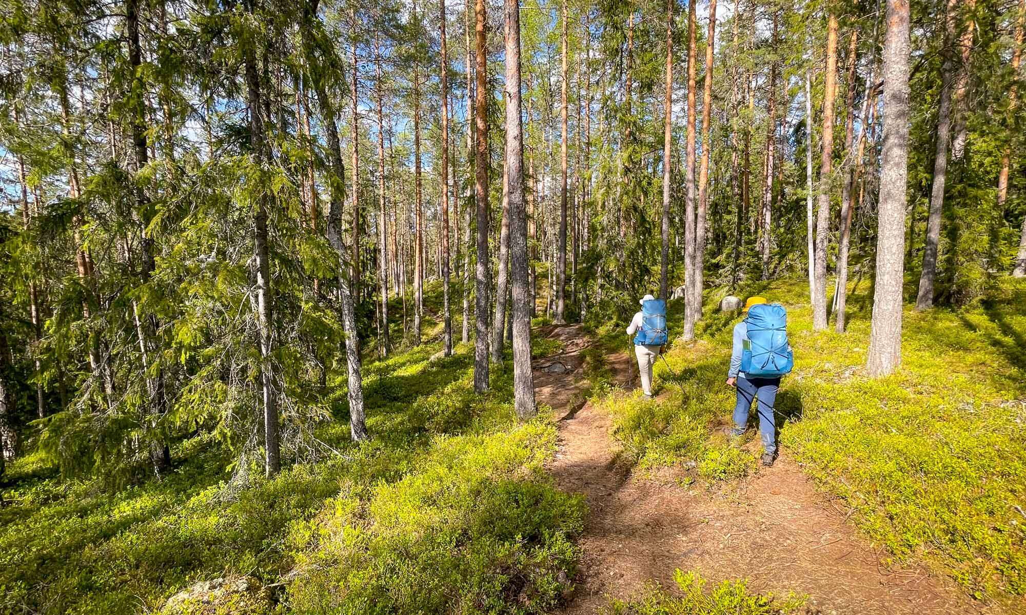 Hike in Finland's National Parks