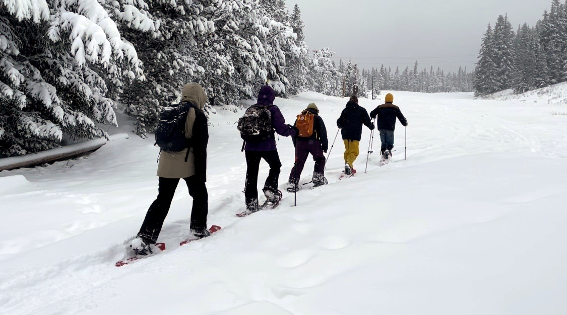 Snowshoeing and Cross-Country Skiing