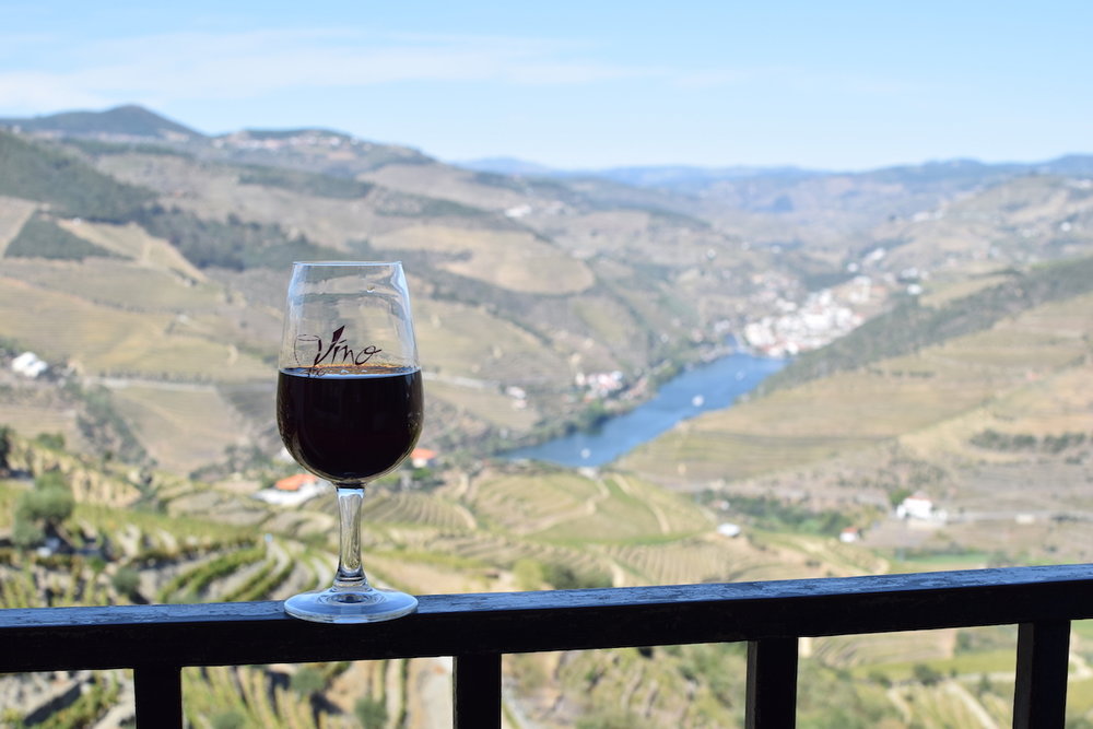 Taste the Finest Portuguese Wine in the Douro Valley