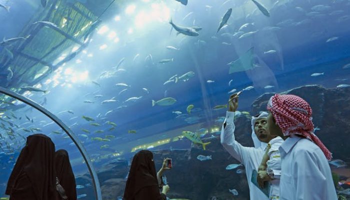 45cd4da606646aede9d2b6b3576bc592-dubai-aquarium-underwater-zoo 45cd4da606646aede9d2b6b3576bc592-dubai-aquarium-underwater-zoo