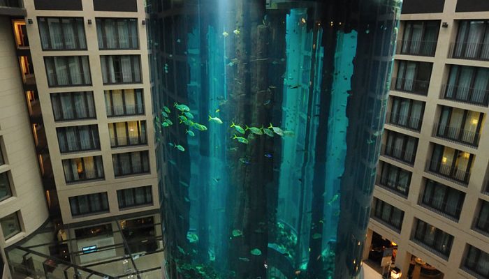 800px-AquaDom_at_the_Radisson_Blu_in_Berlin,_Germany_-_Photo_by_Vxla 800px-AquaDom_at_the_Radisson_Blu_in_Berlin,_Germany_-_Photo_by_Vxla