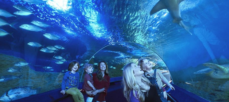 Families in Shipwreck Coast for print